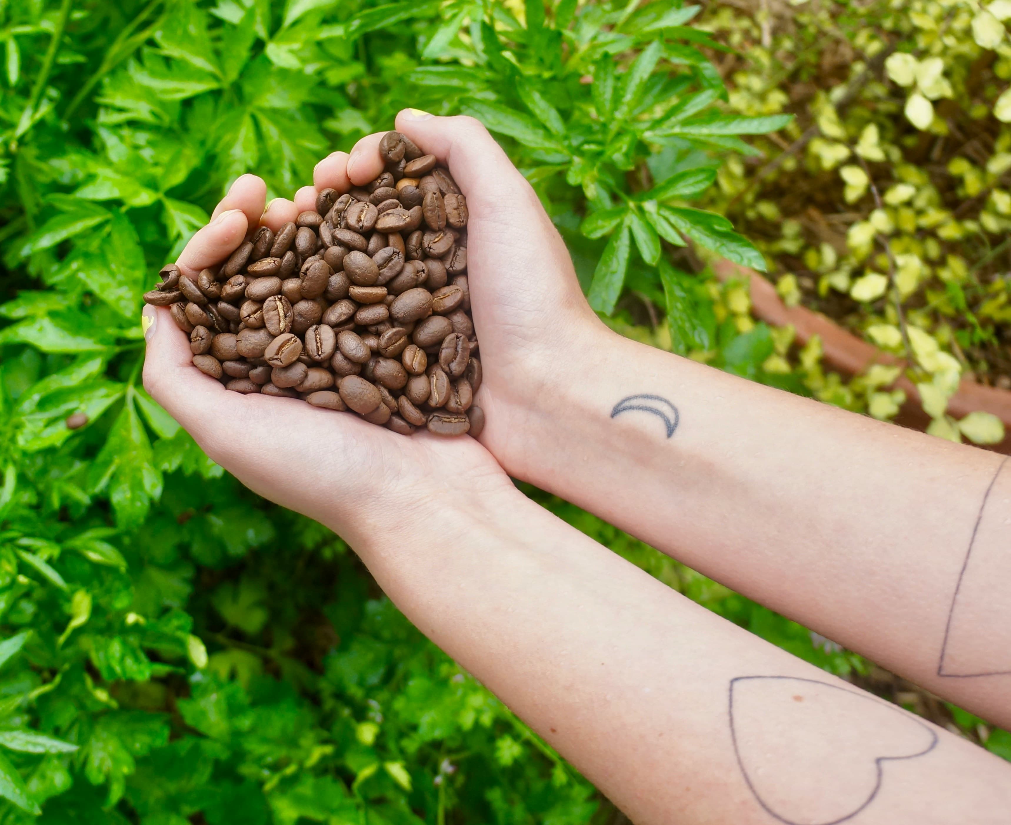 Coffee farmer in field